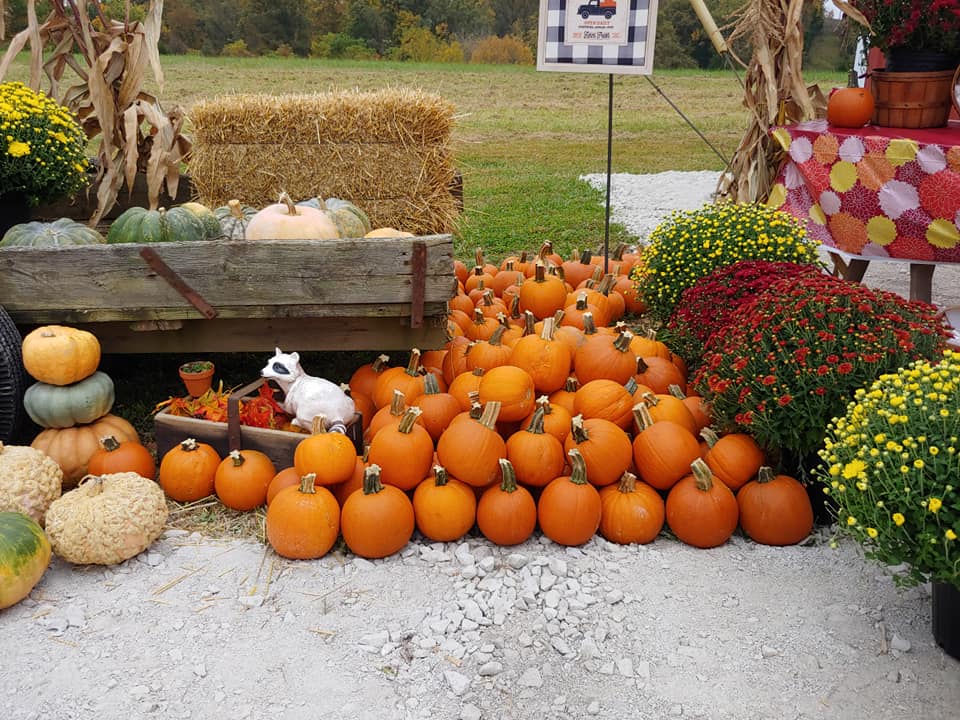 South Wind Farm Fall Harvest Fest